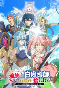 Подобранный авантюристом ранга S