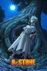 Доктор Стоун [ТВ-3, часть 1]