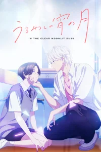 Прекрасная вечерняя луна